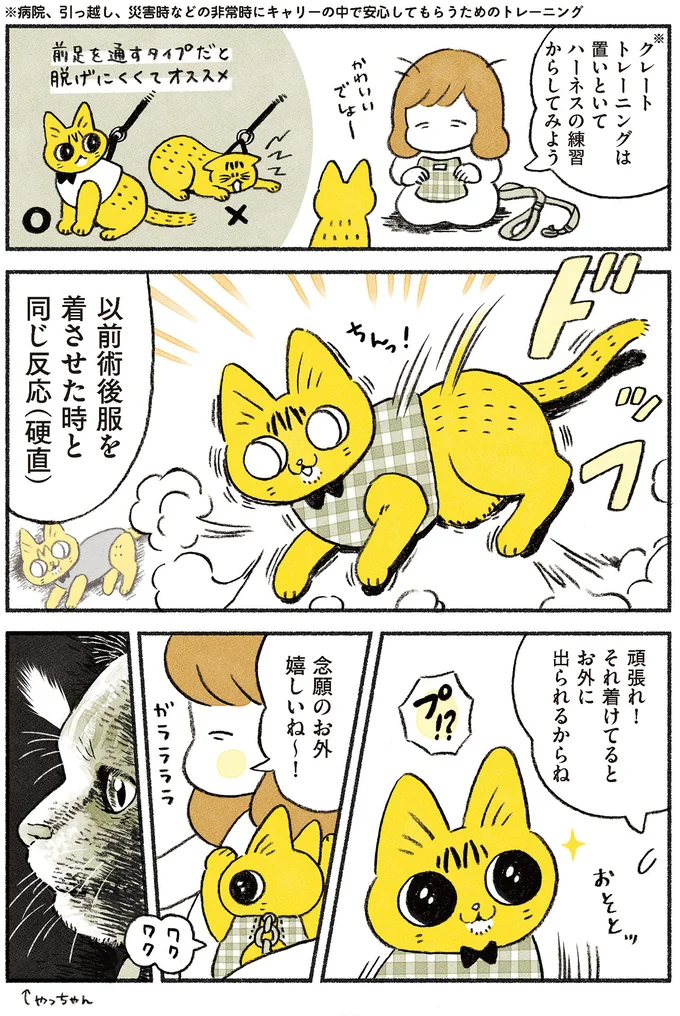念願のお外嬉しいね～！秒で帰宅しました