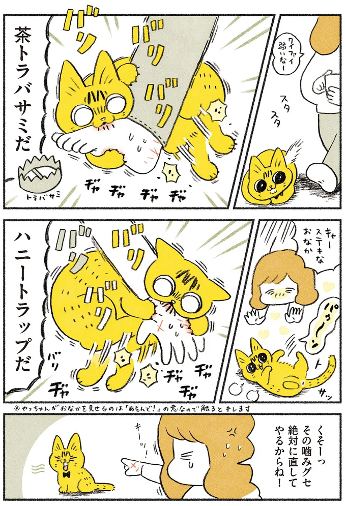 噛みグセ直してやる！