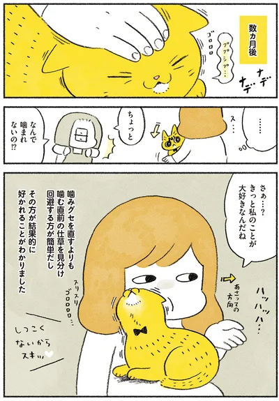 きっと私のことが大好きなんだね