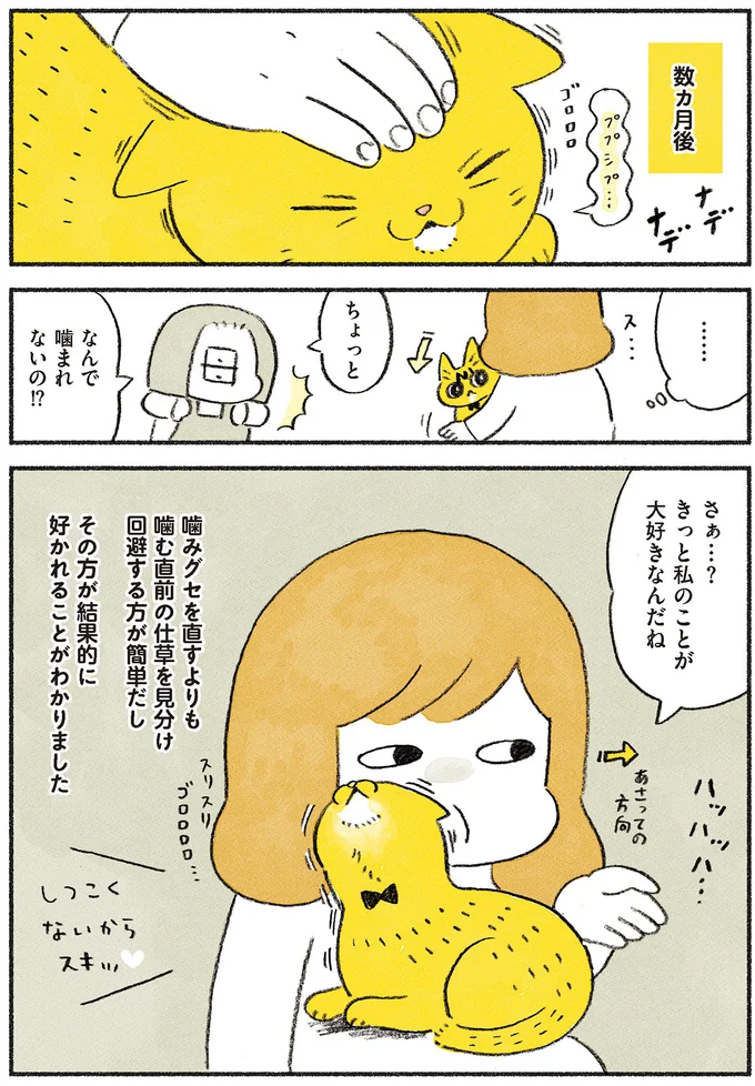 きっと私のことが大好きなんだね