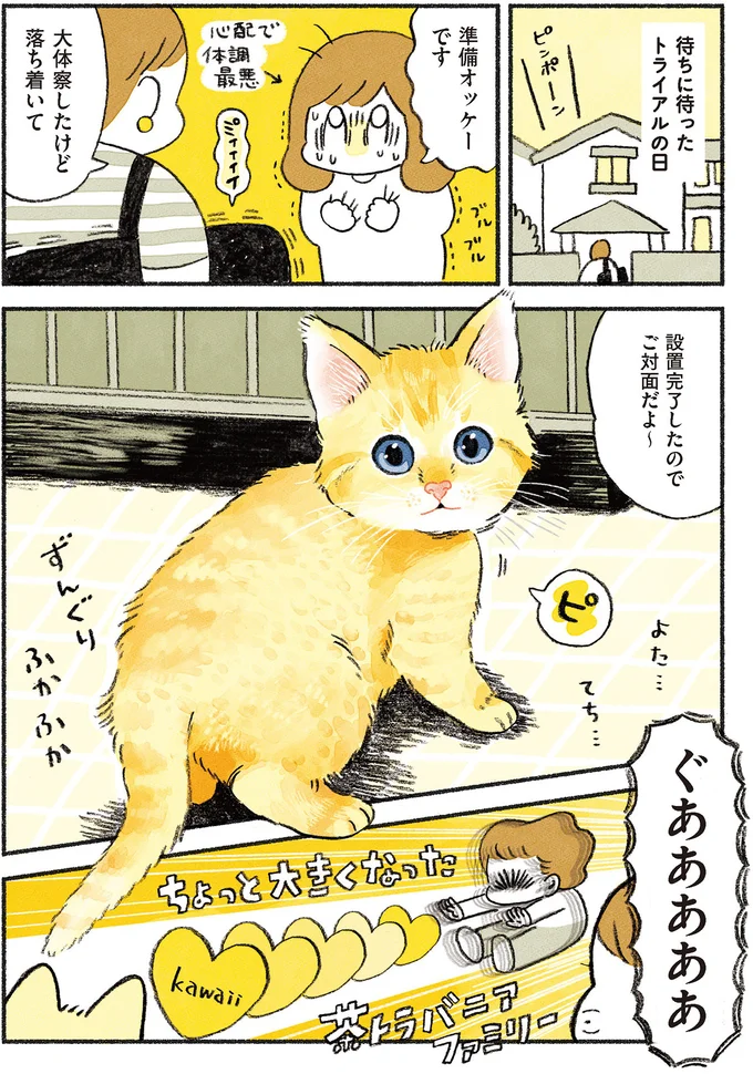 待ちに待ったトライアルの日
