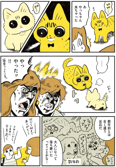 大人になって落ち着いたってことかな…