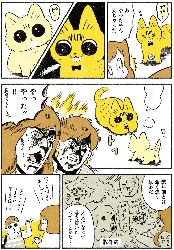 大人になって落ち着いたってことかな…