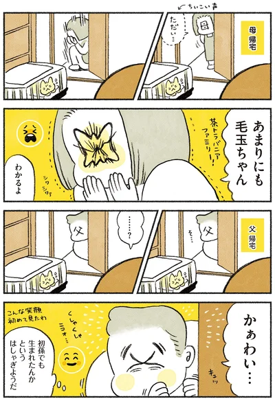 あまりにも毛玉ちゃん