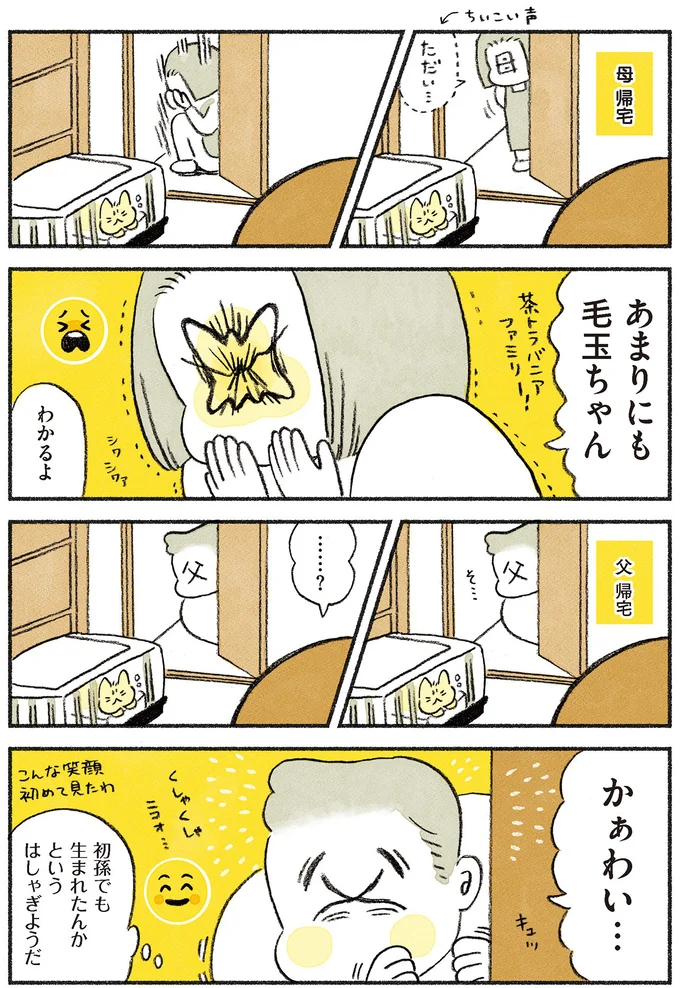 あまりにも毛玉ちゃん