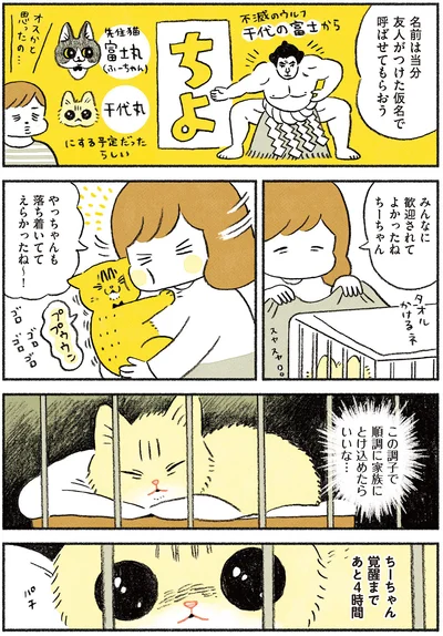 覚醒まであと4時間…