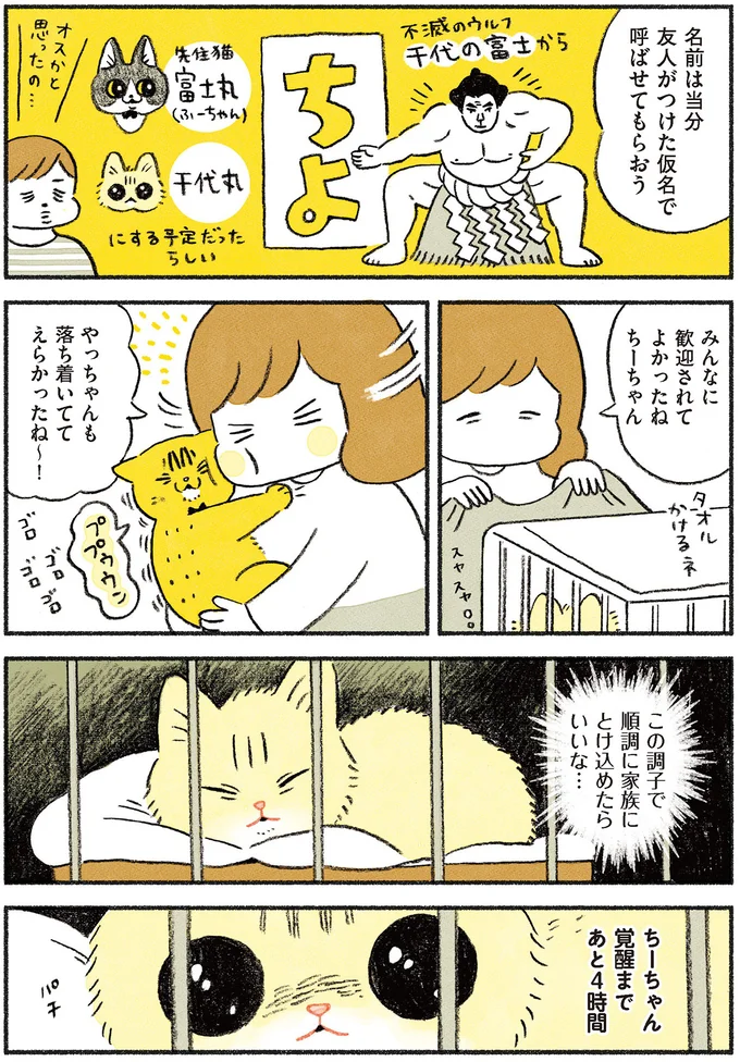 覚醒まであと4時間…
