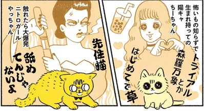 やっちゃんとちーちゃん