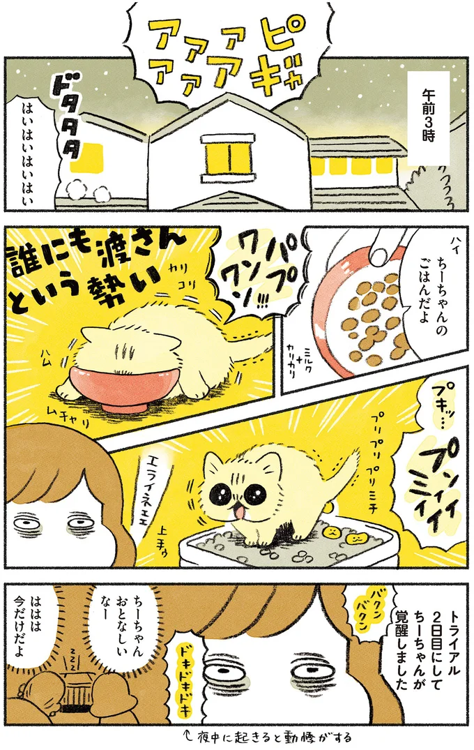 子猫が覚醒しました