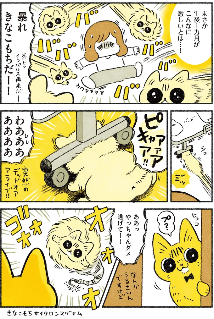 まさかこんなに激しいとは…