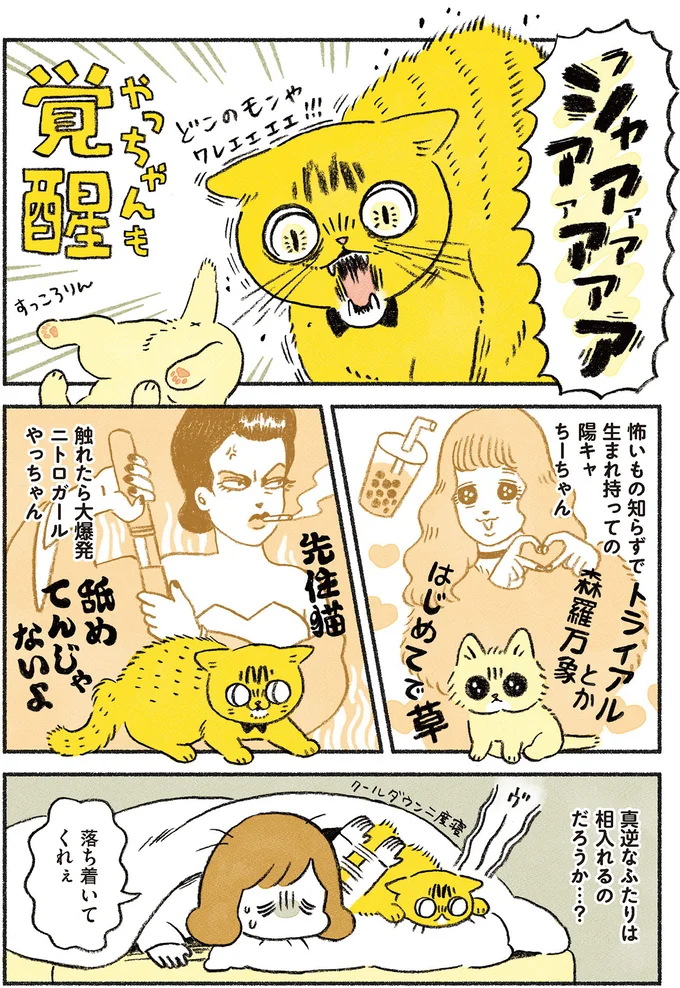 真逆なふたりは相容れるのだろうか…？