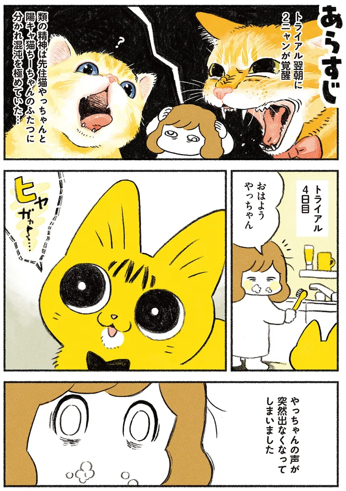 声が突然出なくなってしまった猫