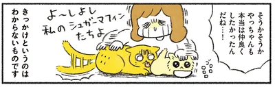 きっかけはわからない