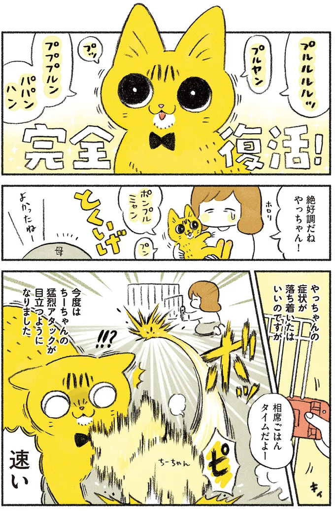 完全復活！！