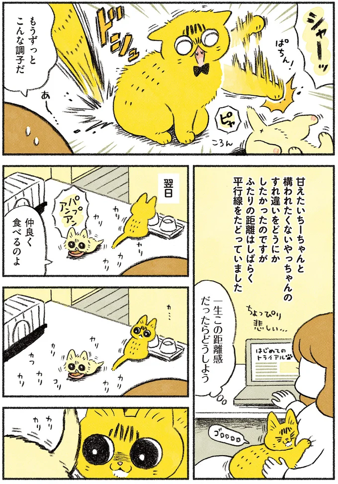 一生この距離感だったらどうしよう