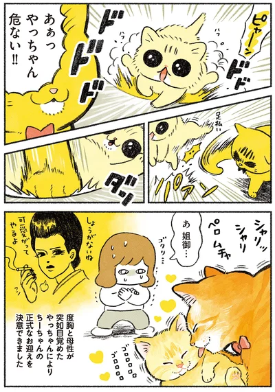 危ない！！