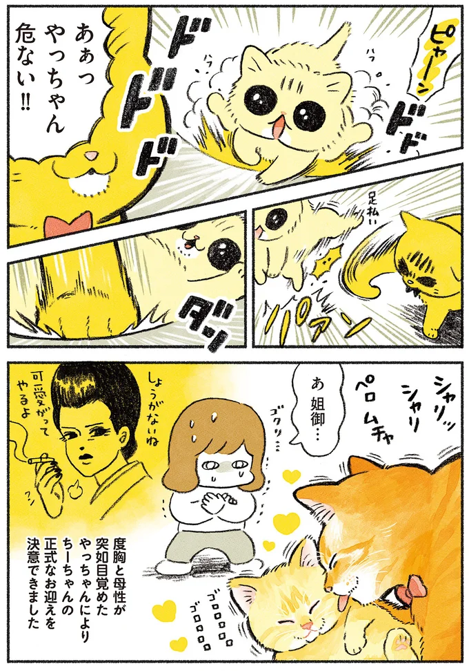 危ない！！