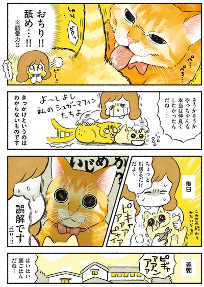 誤解です！
