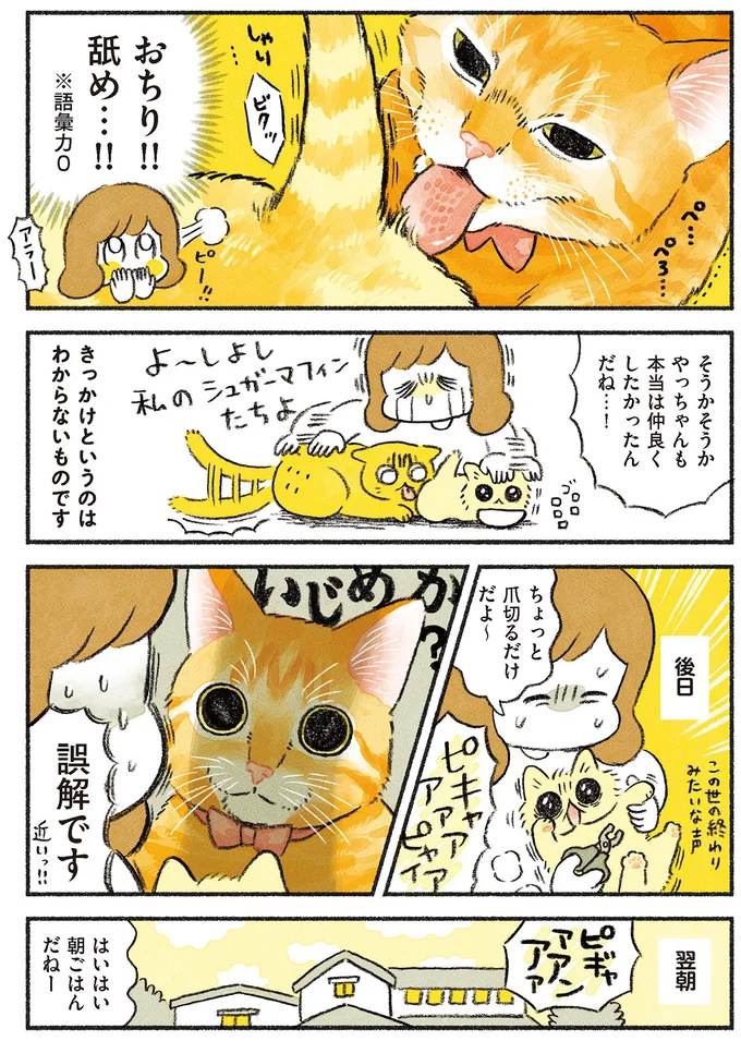 誤解です！