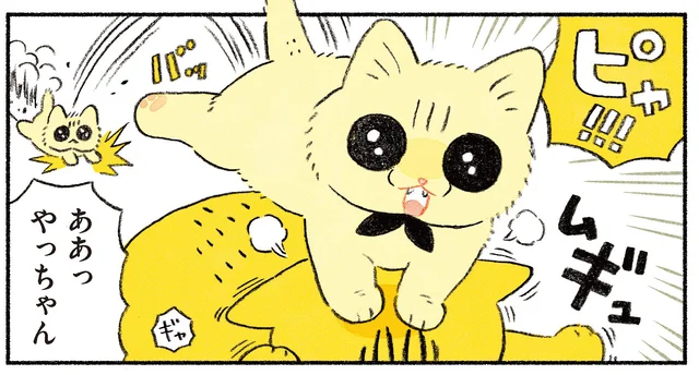 子猫にペースを乱される先住猫。しかし、彼女には最後の砦があった！／茶トラのやっちゃんとちーちゃん（13）