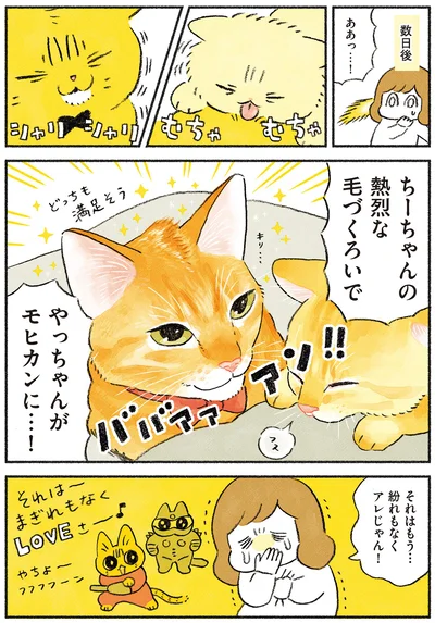 熱烈な毛づくろい！