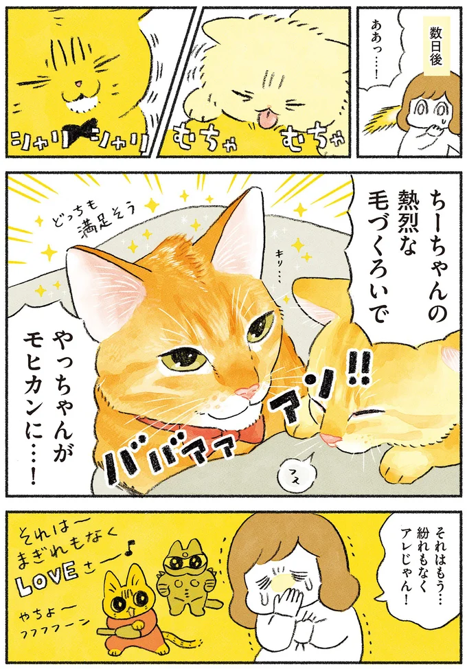 熱烈な毛づくろい！
