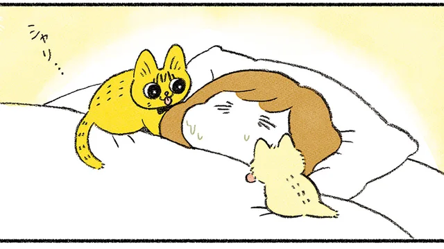 なんとなく愛と優しさを感じる！ 2匹のペロリストに囲まれる幸せな朝／茶トラのやっちゃんとちーちゃん（15）