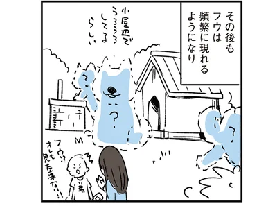 フウは頻繁に現れるようになり