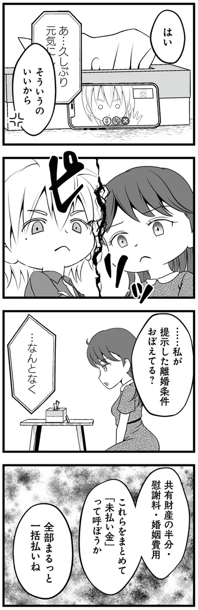 …私が提示した離婚条件おぼえてる？