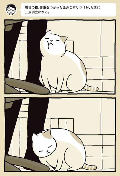 すりすり