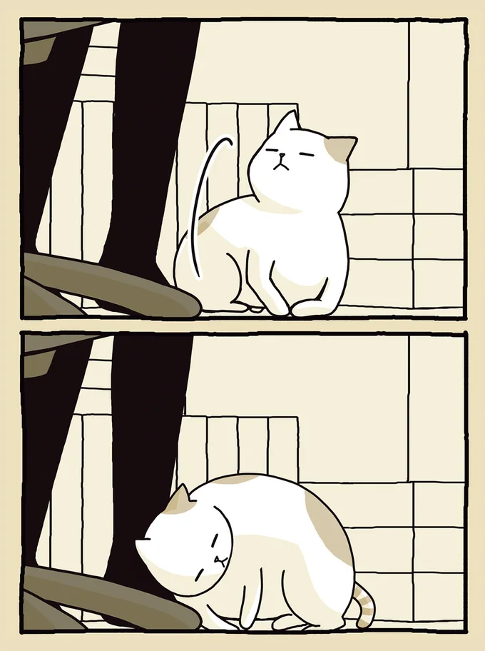 コロン