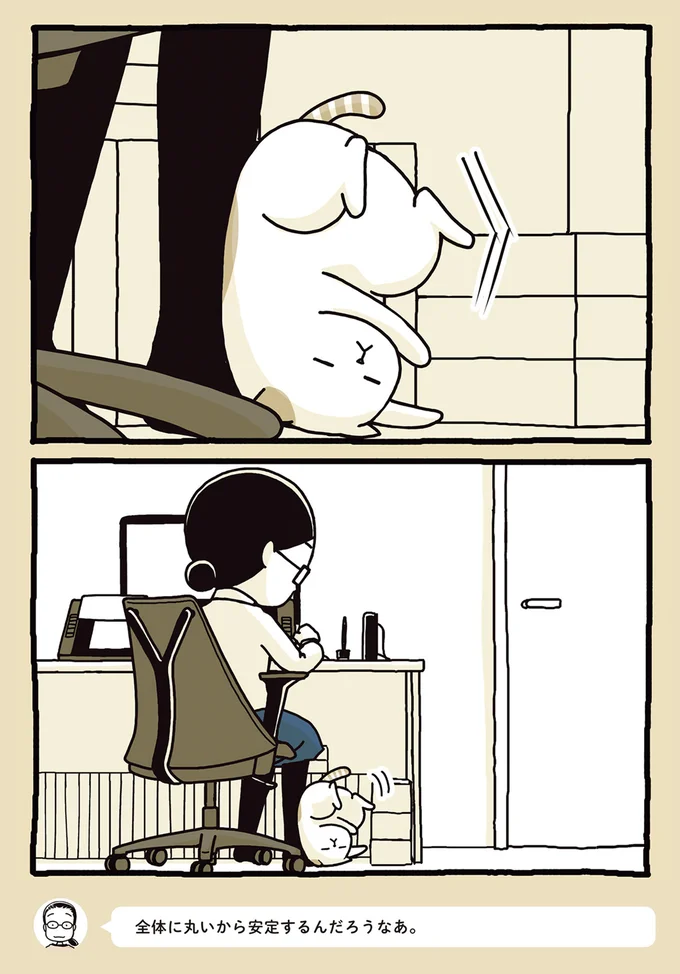 全体に丸いから安定するんだな