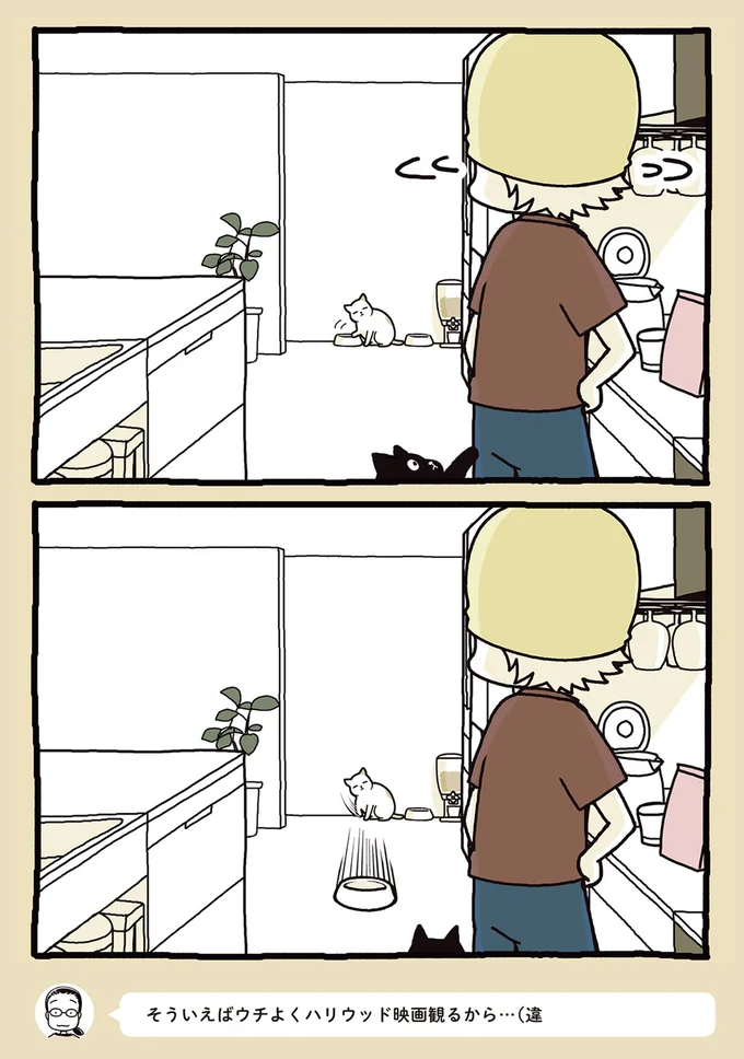 そういえばウチよくハリウッド観るから…