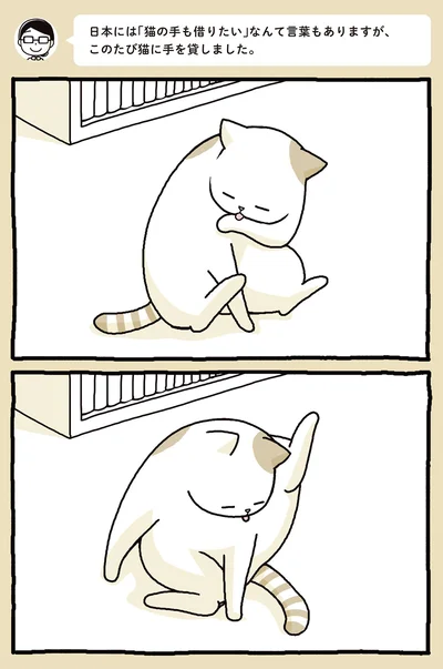 毛繕い