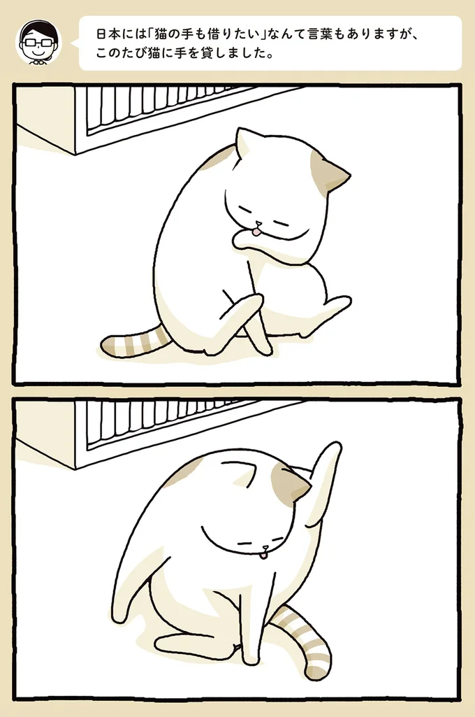 毛繕い
