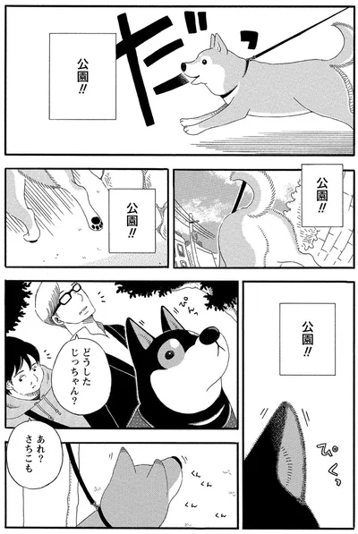 公園！