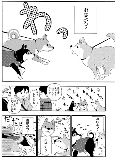 違う道入ったら抜けられなくて