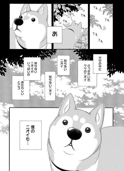 僕のニオイも…