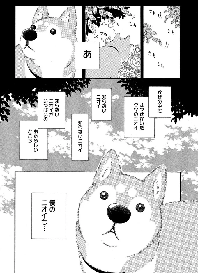 僕のニオイも…