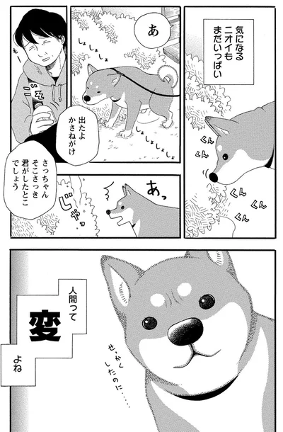 『柴公園』より