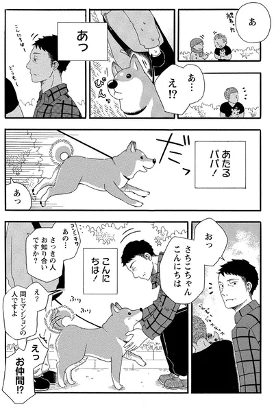 『柴公園』より