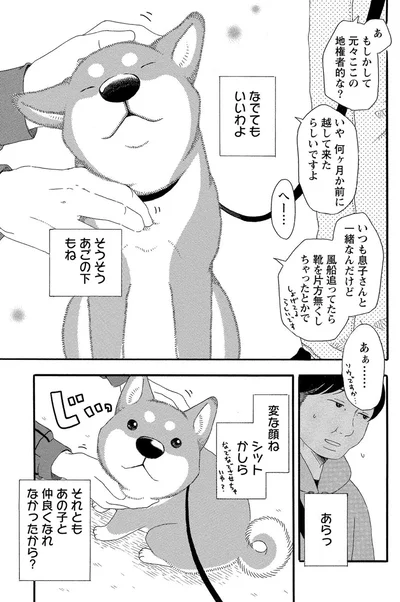 『柴公園』より
