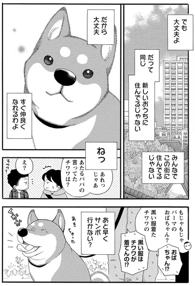 『柴公園』より