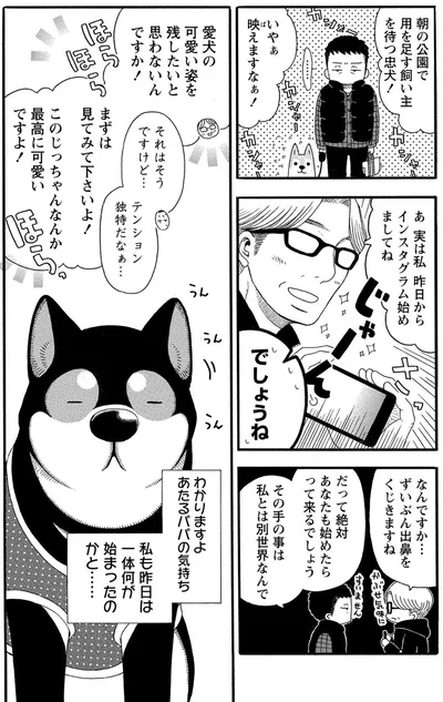 『柴公園』より