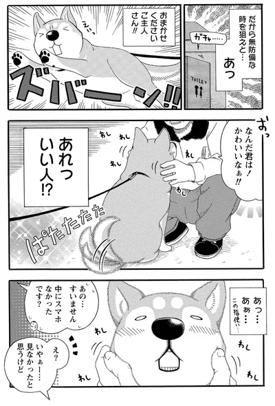 『柴公園』より