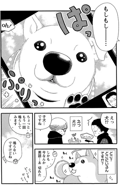 『柴公園』より