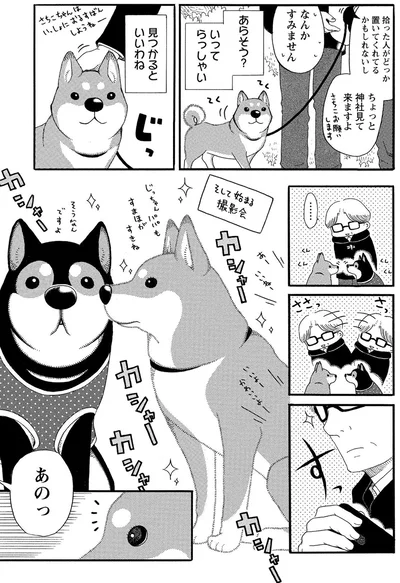 『柴公園』より