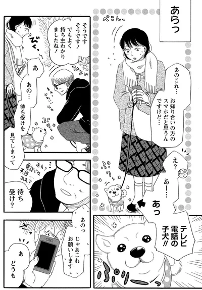 『柴公園』より