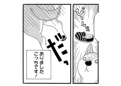 ありました　こっちです！