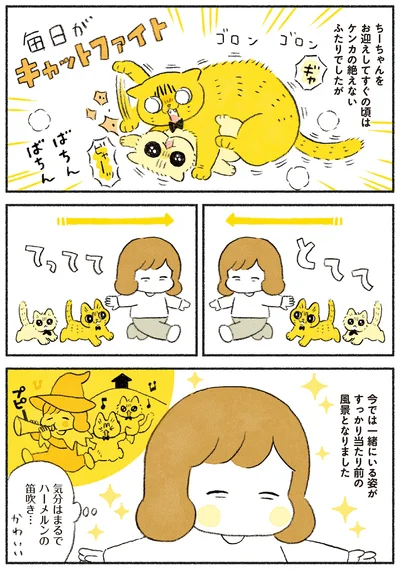 気分はまるでハーメルンの笛吹き…